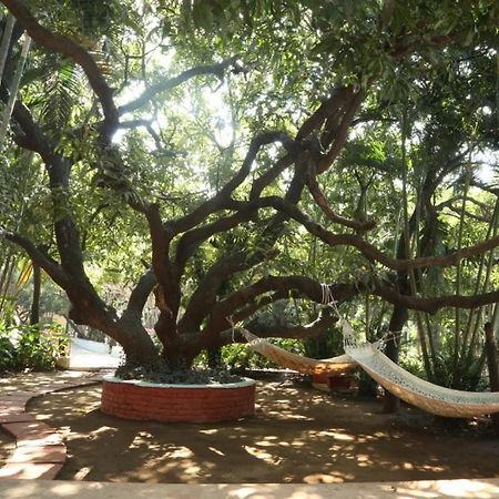 Outpost@Alibaug Hotel Alibag Bagian luar foto