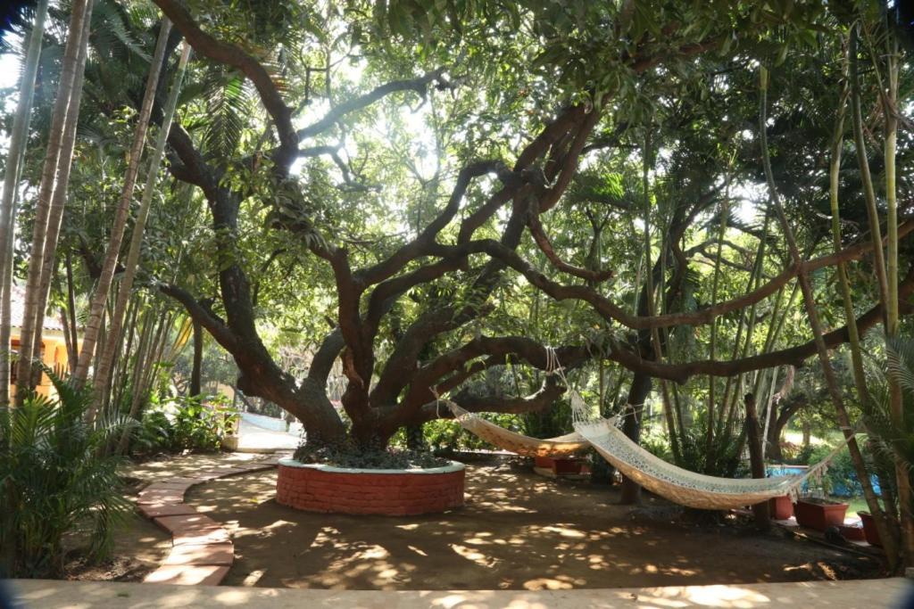 Outpost@Alibaug Hotel Alibag Bagian luar foto